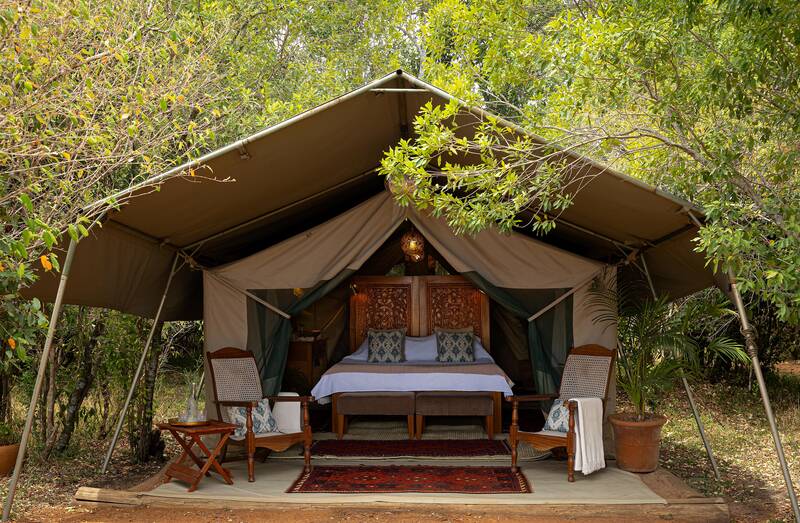 A Seringet guest tent under the trees, the bed made up and lamplit inside
