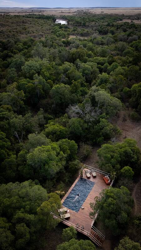 The pool deck from the air, surrounded by forest